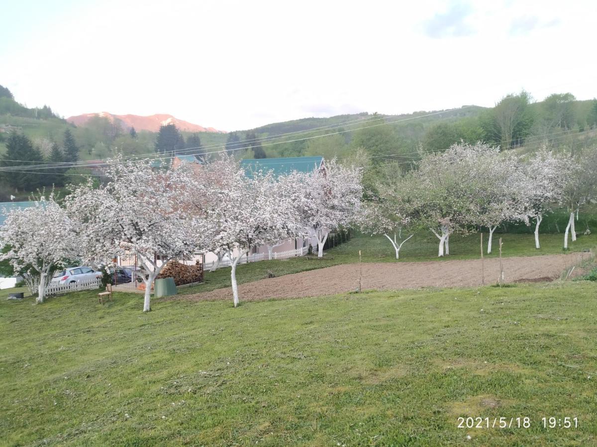 Apartments & Rooms Bojic Kolašin Εξωτερικό φωτογραφία
