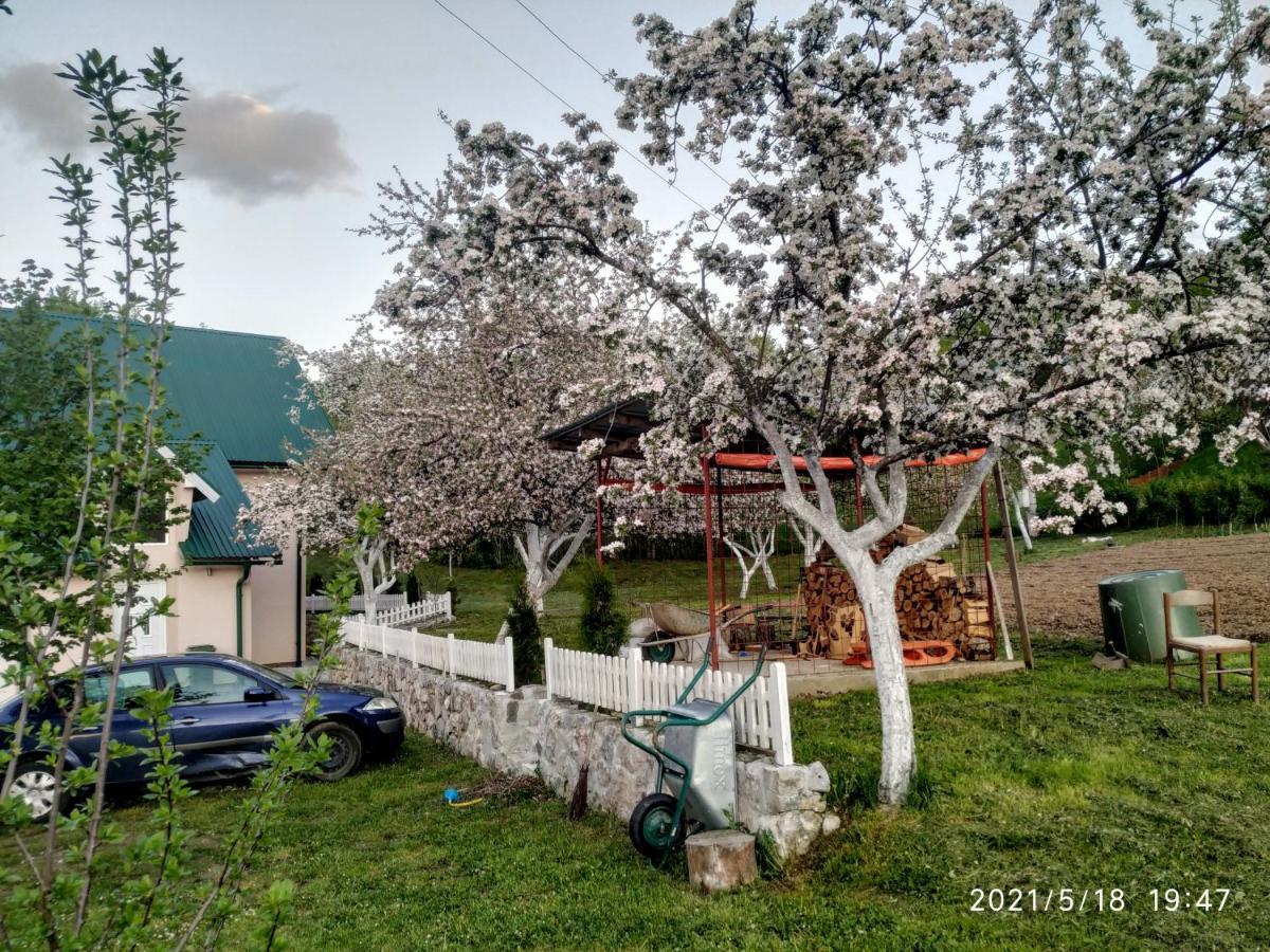 Apartments & Rooms Bojic Kolašin Εξωτερικό φωτογραφία